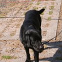20070428_0009
